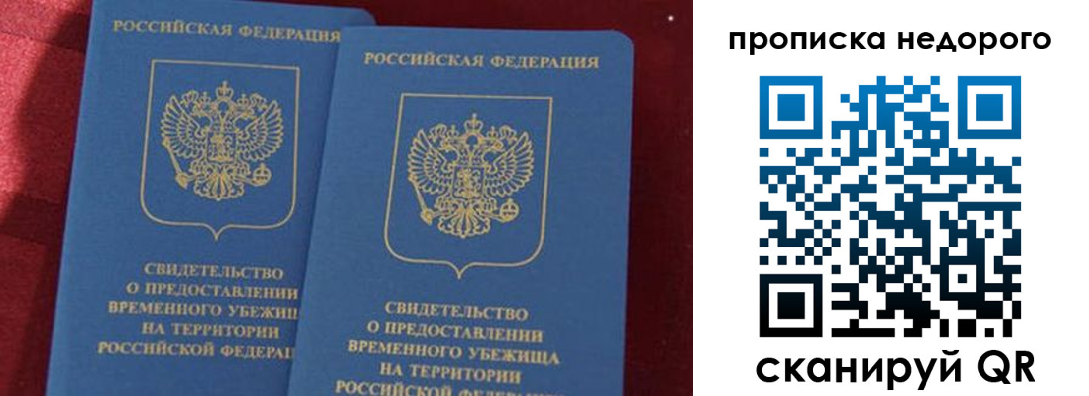 прописка гарантия в Саранске